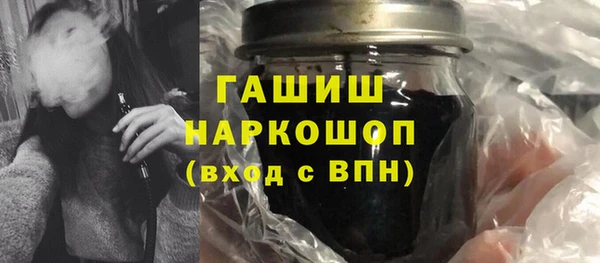 гидра Богородицк