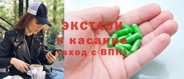 гидра Богородицк