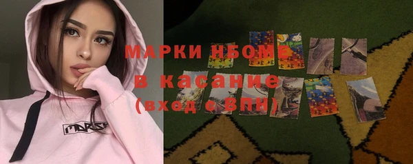 гидра Богородицк