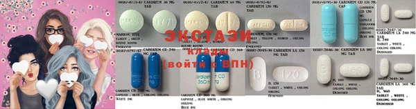 гидра Богородицк