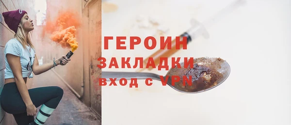 гидра Богородицк