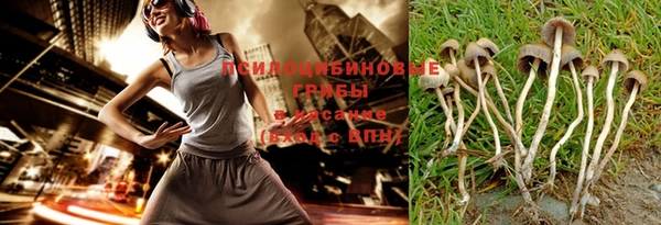 гидра Богородицк