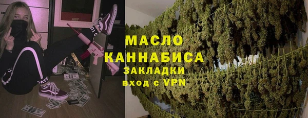 гидра Богородицк