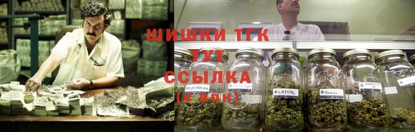 дурь Богданович